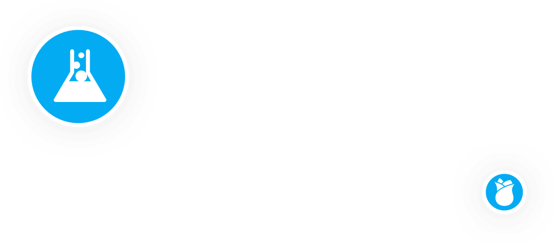 Medical image